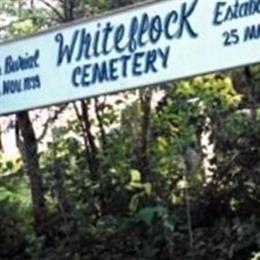 White Flock Cemetery