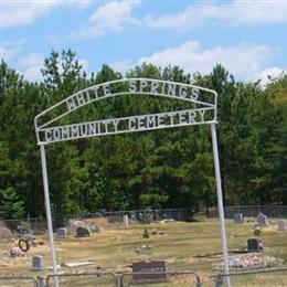 White Springs Community Cemetery