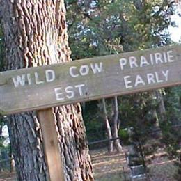 Wild Cow Prairie Cemetery