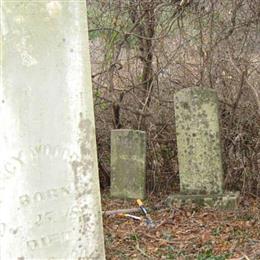 Woodruff Family Cemetery (Rt 21)