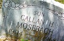 Callan Harwell Mosebach