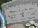 Diana "Di" Lee Striker