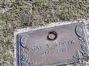 Gay V. Lester