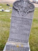 Heinrich Hellbusch