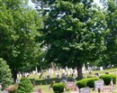 Maple Grove Cemetery