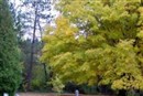 St. John's Catholic Cemetery