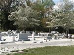 Crawford Lake Baptist Cemetery (McAlpin)