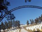 Offutt AFB Cemetery