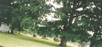 Osborn Cemetery on Sysoon