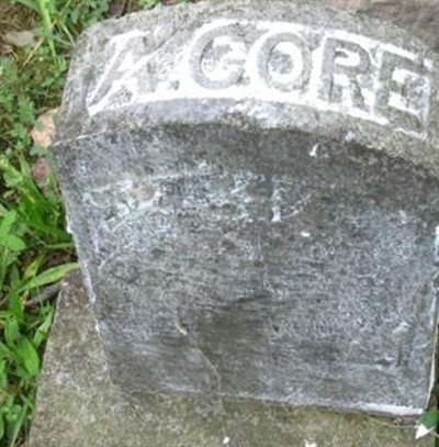 A Gore on Sysoon