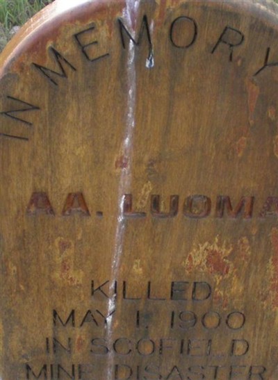 Aaprami Adolf "A. A." Luoma on Sysoon