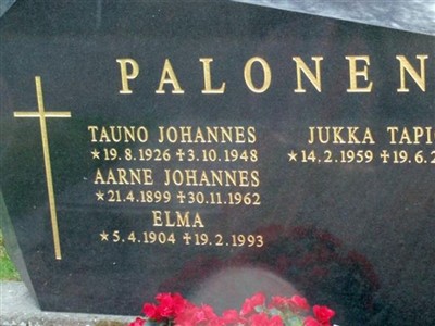 Aarne Johannes Palonen on Sysoon