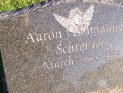 Aaron Emmanuel Schreiner on Sysoon