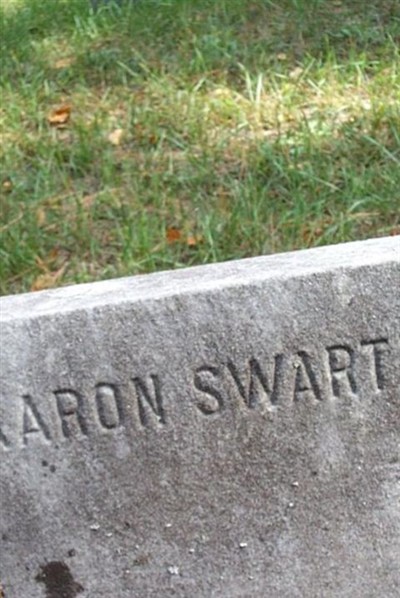 Aaron Swartz on Sysoon