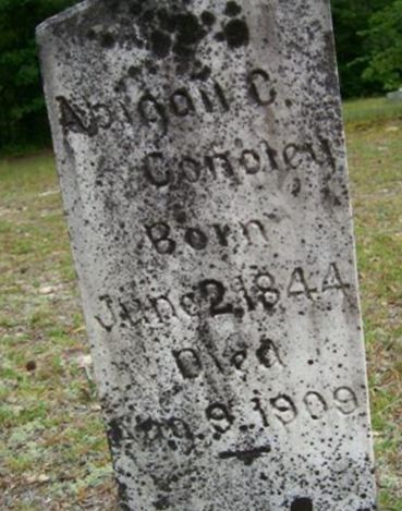 Abigail C Conoley on Sysoon