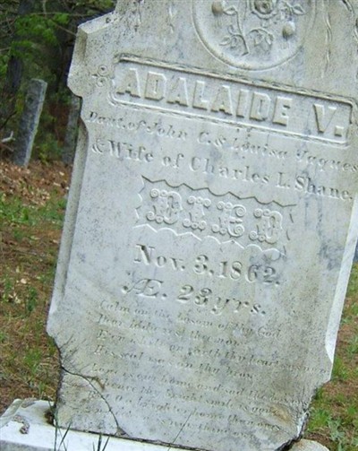 Adalaide V Jaques Shane on Sysoon
