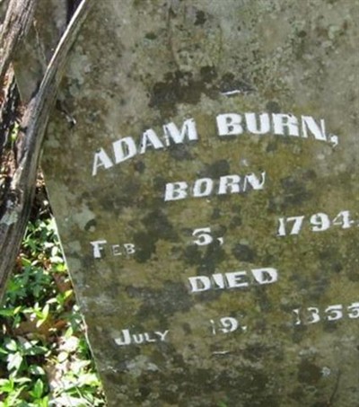 Adam Burn on Sysoon