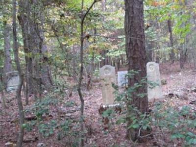 Adams Family Cemetery on Sysoon