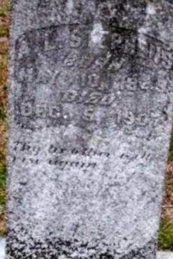 Addison L. Stephens on Sysoon