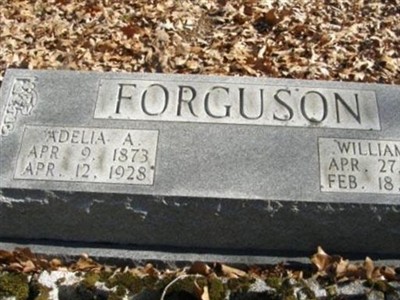Adelia A. "Delia" Nunn Forguson on Sysoon