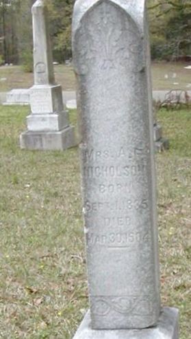 Adelia F Graves Nicholson on Sysoon