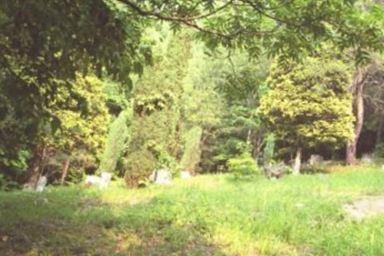 Adkins Cemetery on Sysoon