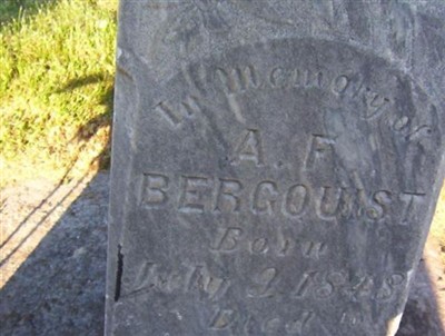 Adolf Fredrick Bergquist on Sysoon
