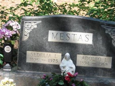 Adolfo L Mestas on Sysoon
