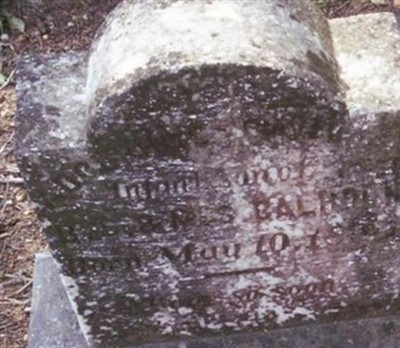 Adolphus Calhoun on Sysoon