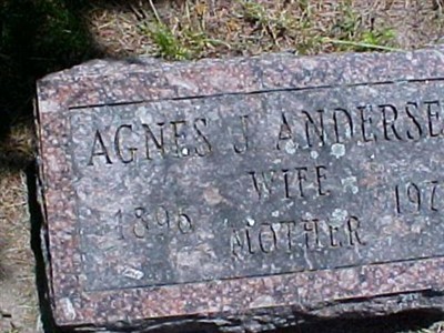 Agnes J. Andersen on Sysoon