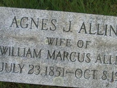 Agnes Jane Dalzell Alling on Sysoon