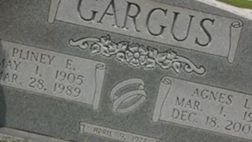 Agnes L. Bellew Gargus on Sysoon