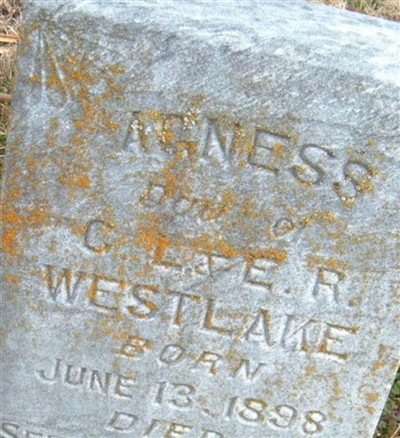 Agness Westlake on Sysoon
