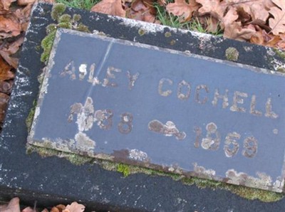 Ailey Cochell on Sysoon