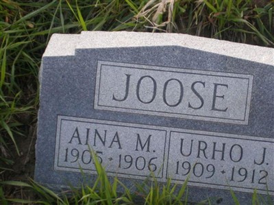 Aina M Joose on Sysoon