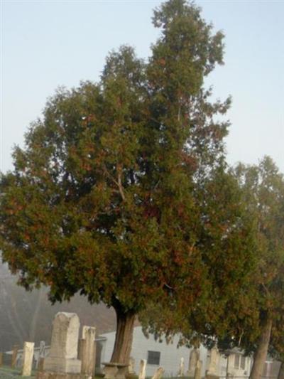 Akron Citizens Cemetery on Sysoon