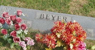 Albert Beyer on Sysoon