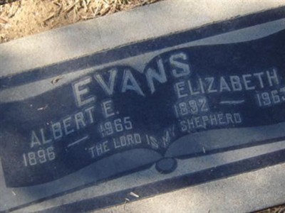 Albert E. Evans on Sysoon
