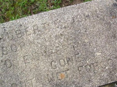Albert E. Johnson on Sysoon