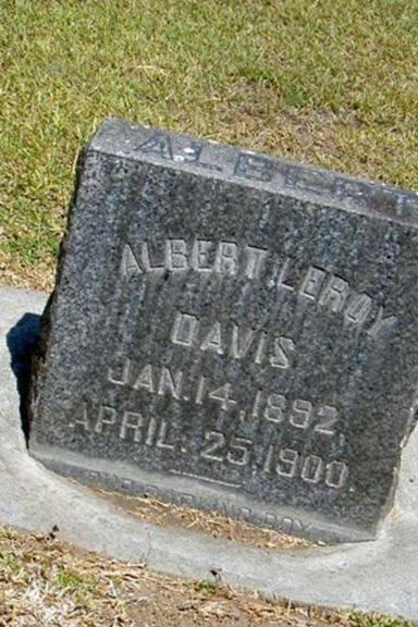Albert Leroy Davis on Sysoon