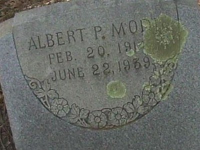 Albert P Mode on Sysoon