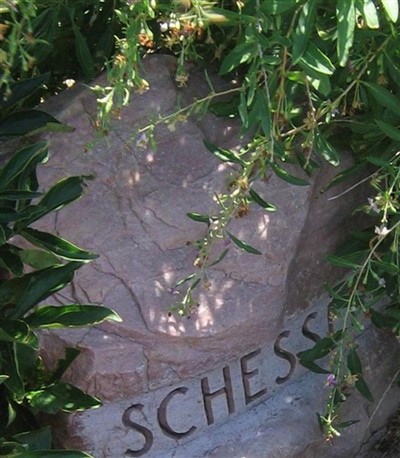 Albert Schesser on Sysoon