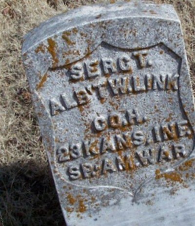 Albert W. Link on Sysoon