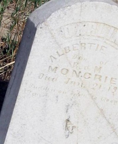 Albertie Moncrief on Sysoon