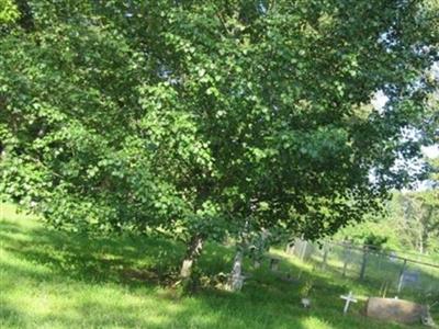 Albion Cemetery on Sysoon