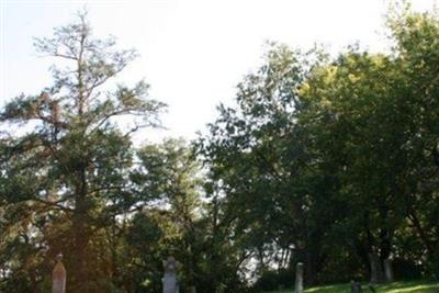 Albion Township Cemetery on Sysoon