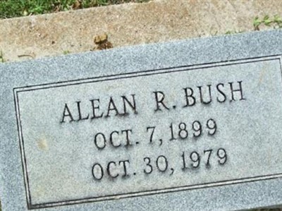 Alean R. Bush on Sysoon