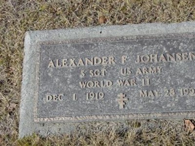 Alexander F. Johansen on Sysoon