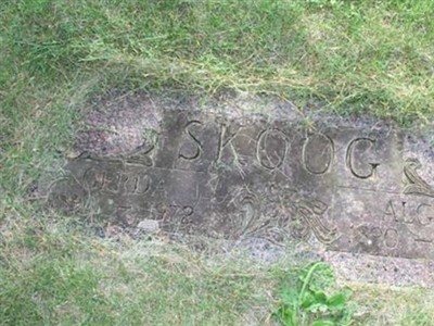Algot Skoog on Sysoon