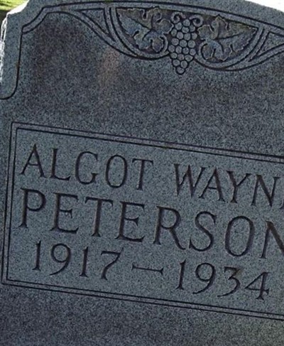 Algot Wayne Peterson on Sysoon